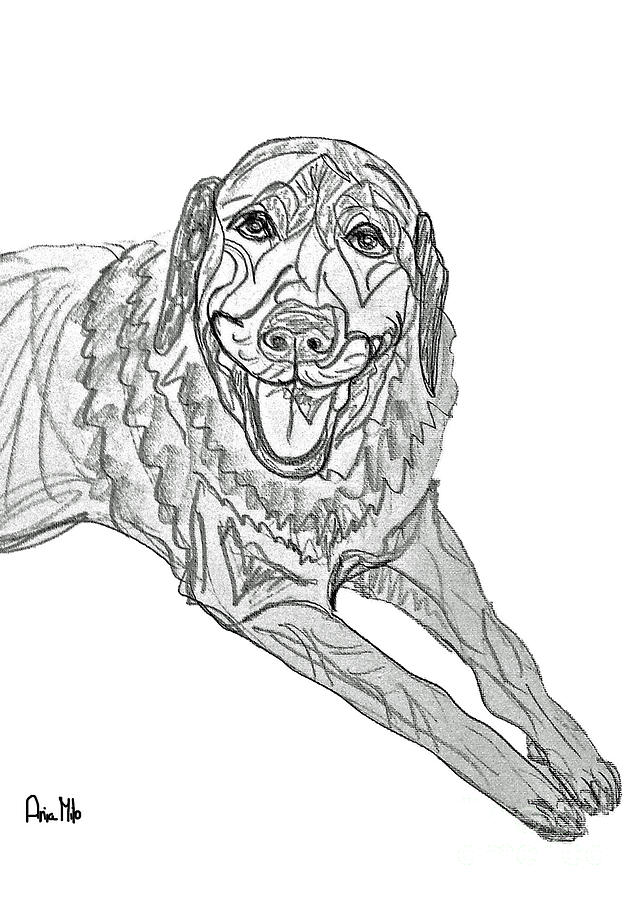 Dog Sketch in Charcoal 9 Digital Art by Ania M Milo
