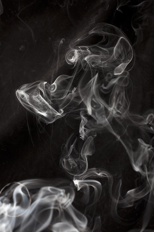 Dog Smoke Photograph by Garry Gay