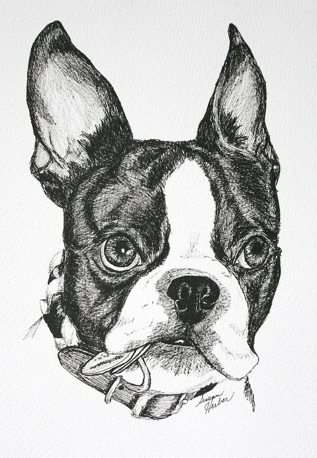 Dog Tags Drawing by Susan Herber
