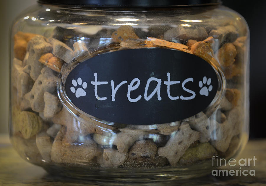 Dog Treats Photograph by Dale Powell