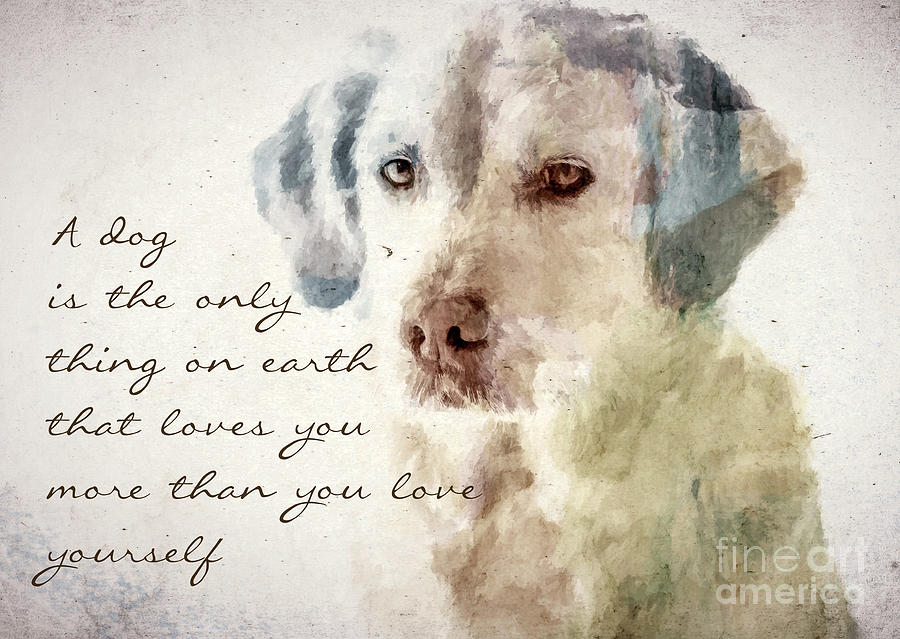 Dog True Love Photograph by Andrea Anderegg
