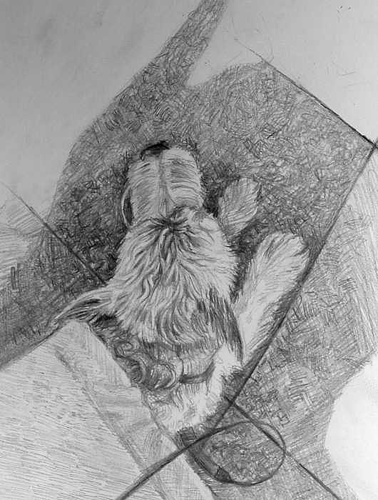 Dog under Bench Drawing by William Hay Dog under Bench Drawing by William Hay