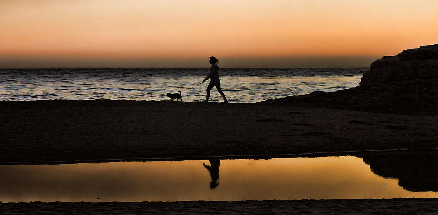 Dog Walker At Sunset Photograph