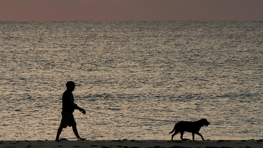 Dog Walker Dawn Delray Beach Florida Photograph by Lawrence S Richardson Jr