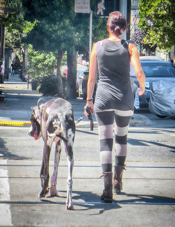 Dog Walker Photograph by Jessica Levant