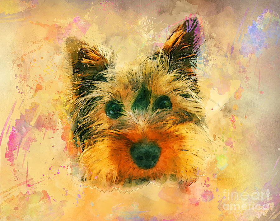 Dog Digital Art - Dog yorkshire terrier art by Justyna Jaszke JBJart