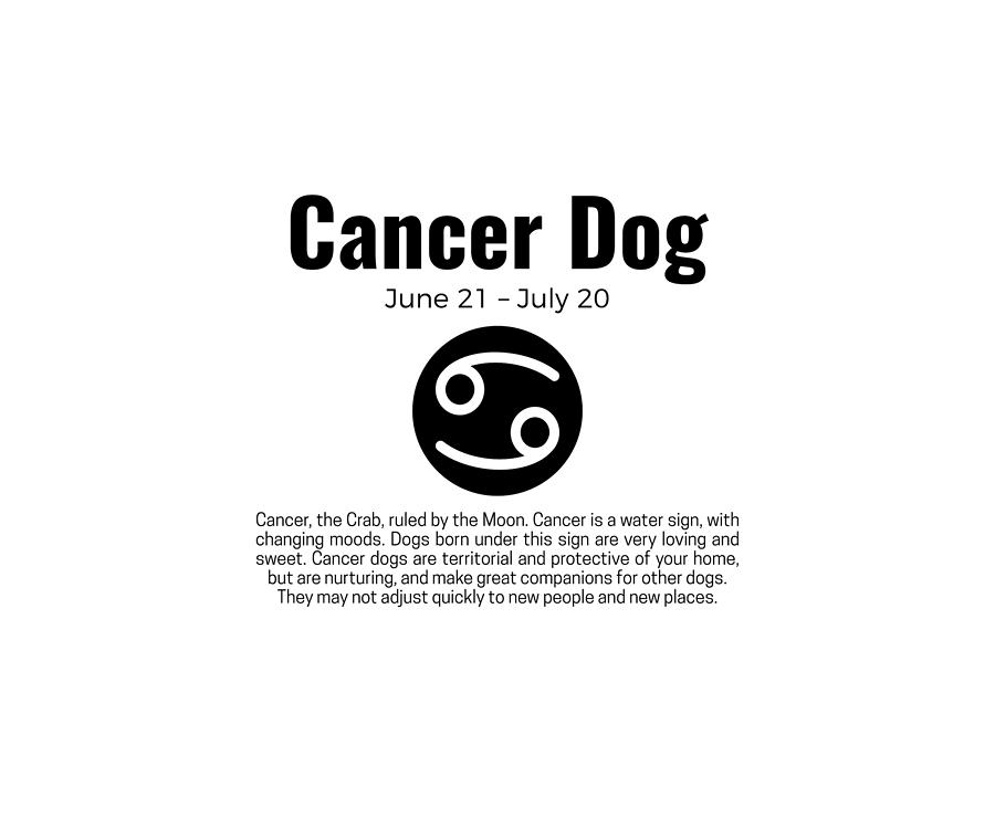 Dog Zodiac Signs Coffee Mug Cancer Horoscope Sign by Laura Gibson