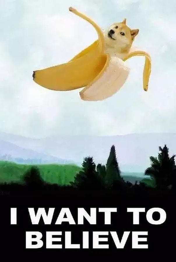 Banana Photograph - DOGE want to believe so want by Michael French