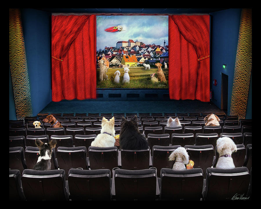 Doggie Cinema Photograph by Diana Haronis