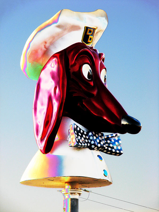 Doggie Diner Sign Photograph by Samuel Sheats