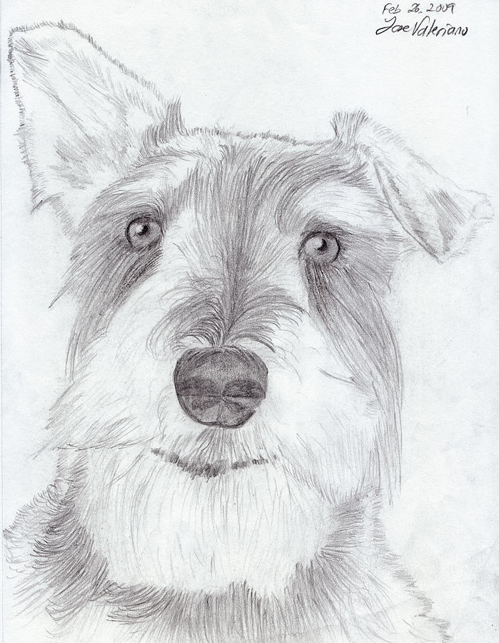 Dog Drawing - Doggie by Martin Valeriano