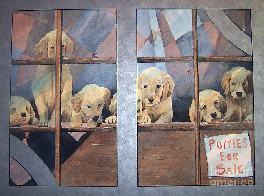 Doggies in the Window Painting by Bev Morgan