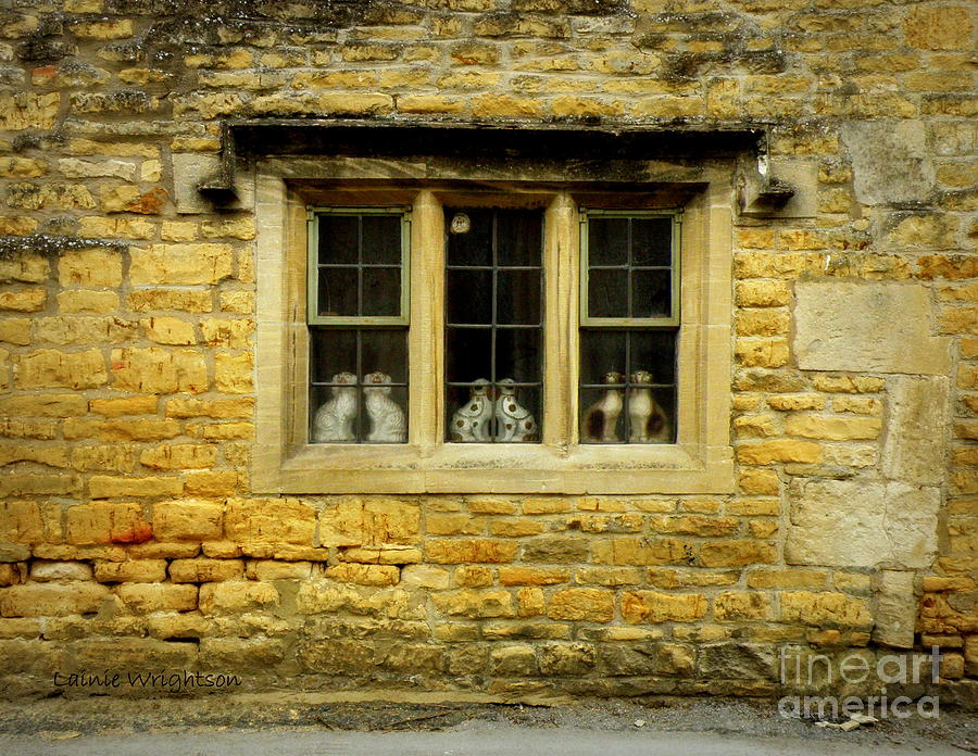 Doggies in the Window Photograph by Lainie Wrightson