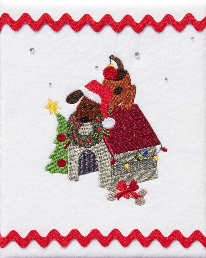 Doghouse at Christmas Photograph by Sally Weigand