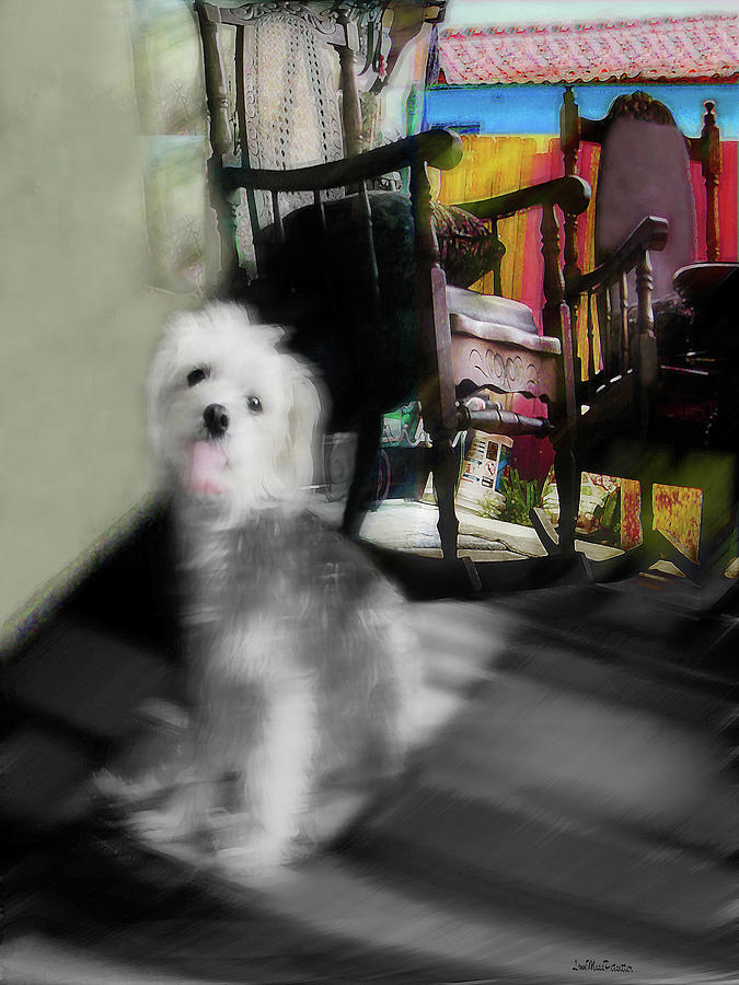 Dogie In The Patio Art  Digital Art by Miss Pet Sitter