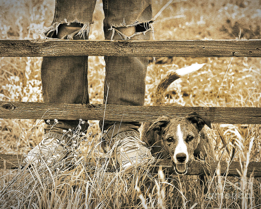 Dogs Best Friend Photograph by Don Schimmel