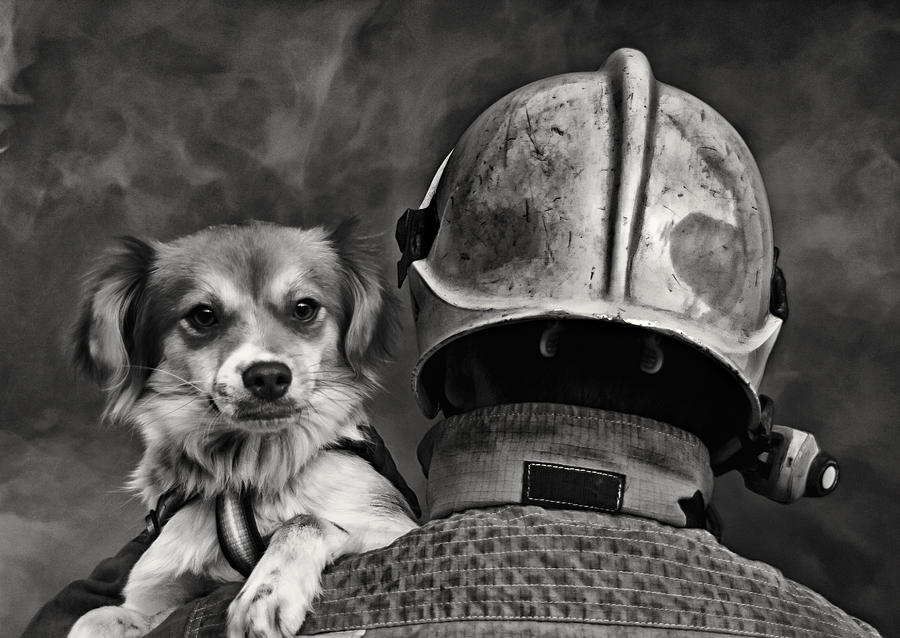 Dogs Best Friend. Photograph by Renato J. Lopez Baldo