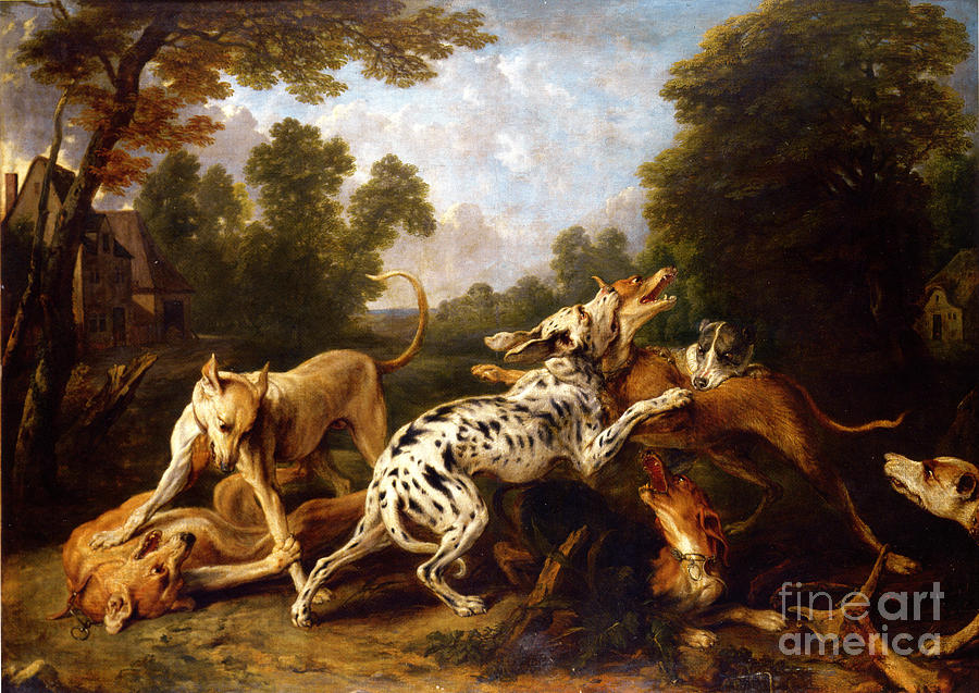 Frans Snyders Painting - Dogs fighting in a wooded clearing by Celestial Images