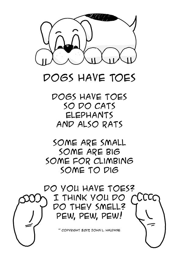 Dogs Have Toes Drawing by John Haldane