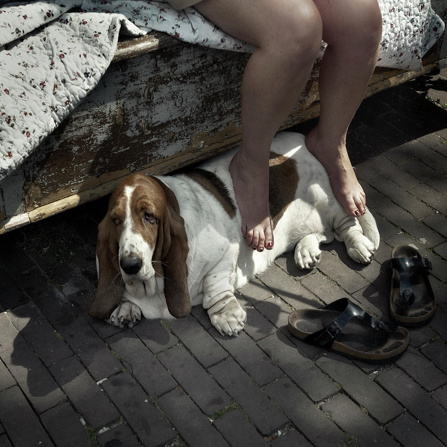 Hushpuppy Photograph - Dogs life by Michel Verhoef