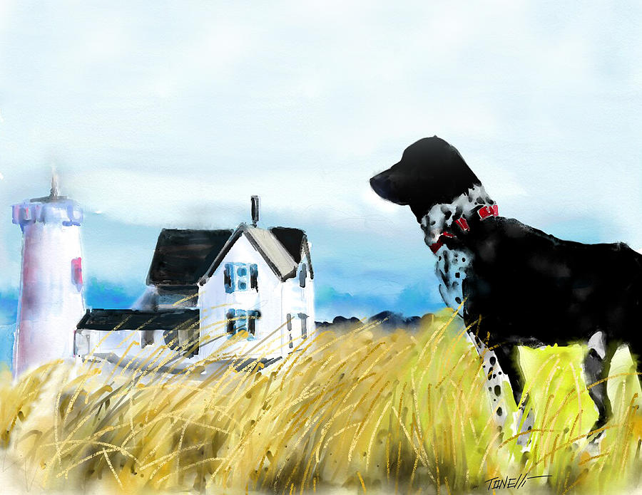 Waiting dog  Mixed Media by Mark Tonelli