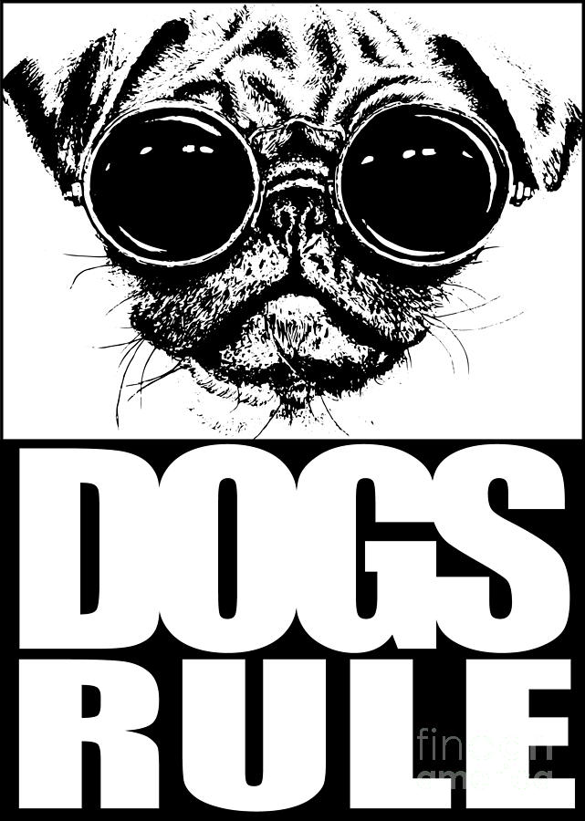 Dogs Rule Digital Art by Jack Norton