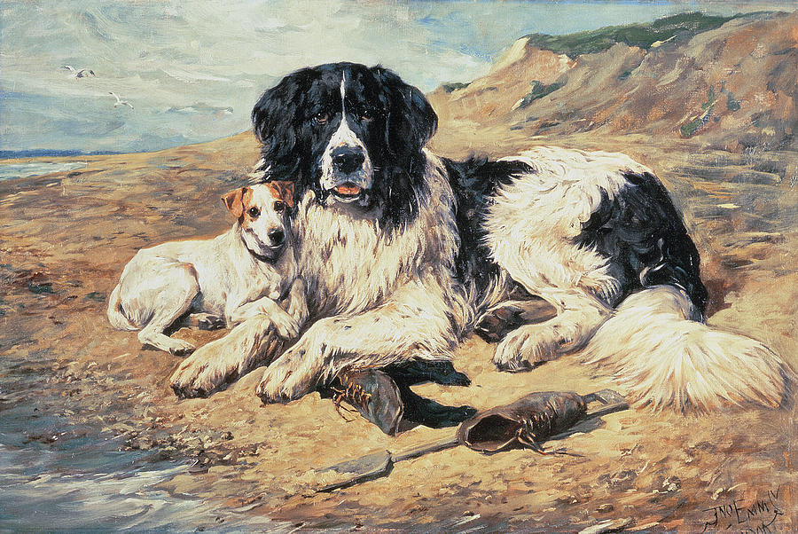 Dogs Watching Bathers Painting by John Emms
