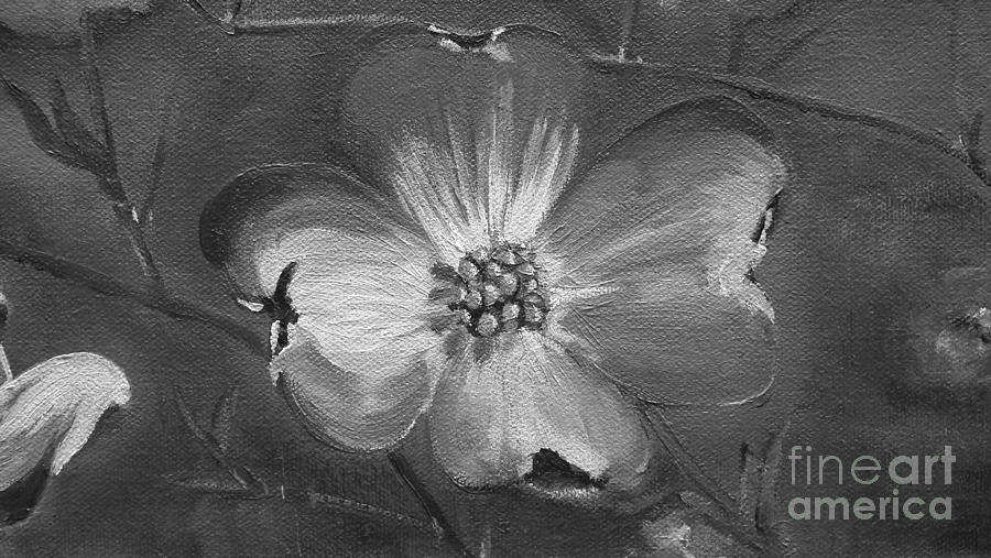 Dogwood - Black and White  Painting by Jan Dappen