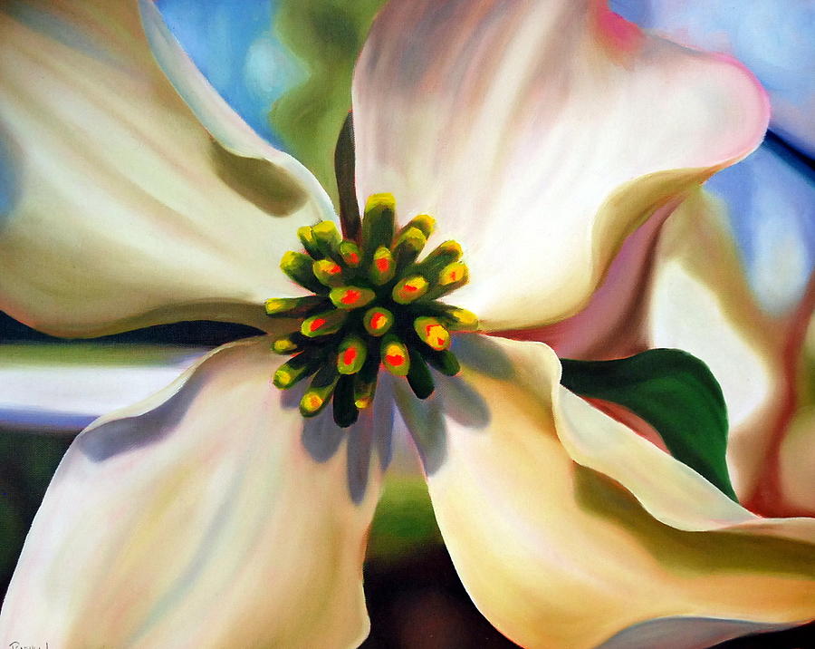 Dogwood Bloom Painting by Rachel Lawson
