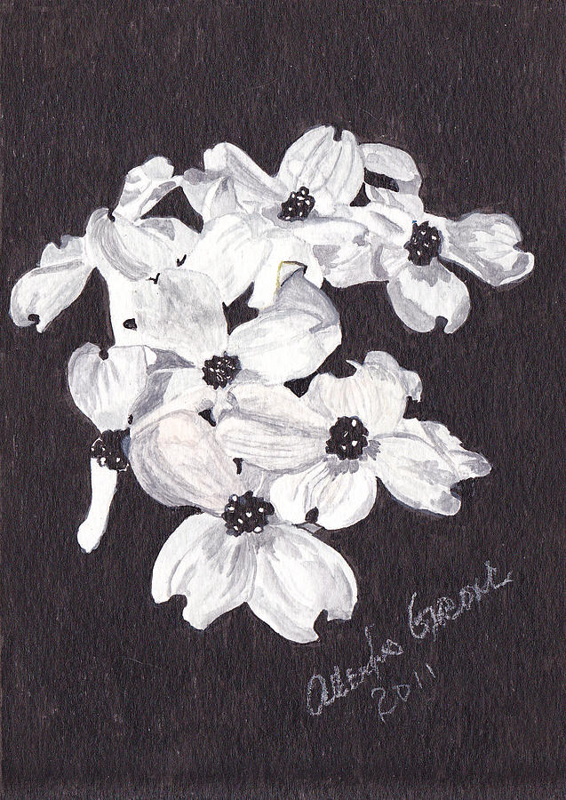 Flower Painting - Dogwood Blooms by Alexis Grone