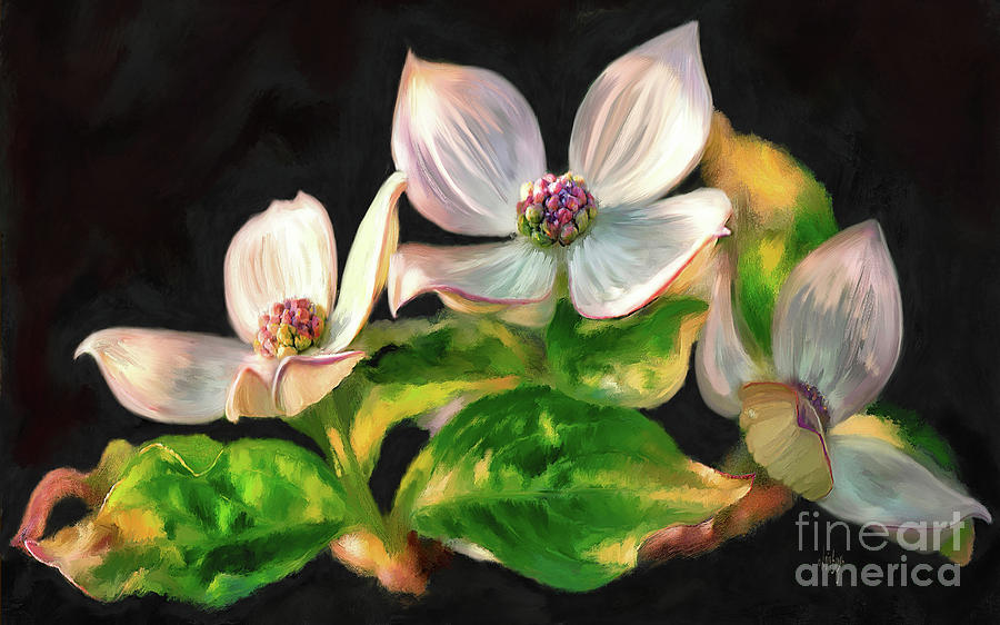Dogwood Blossoms On A Branch Digital Art by Lois Bryan