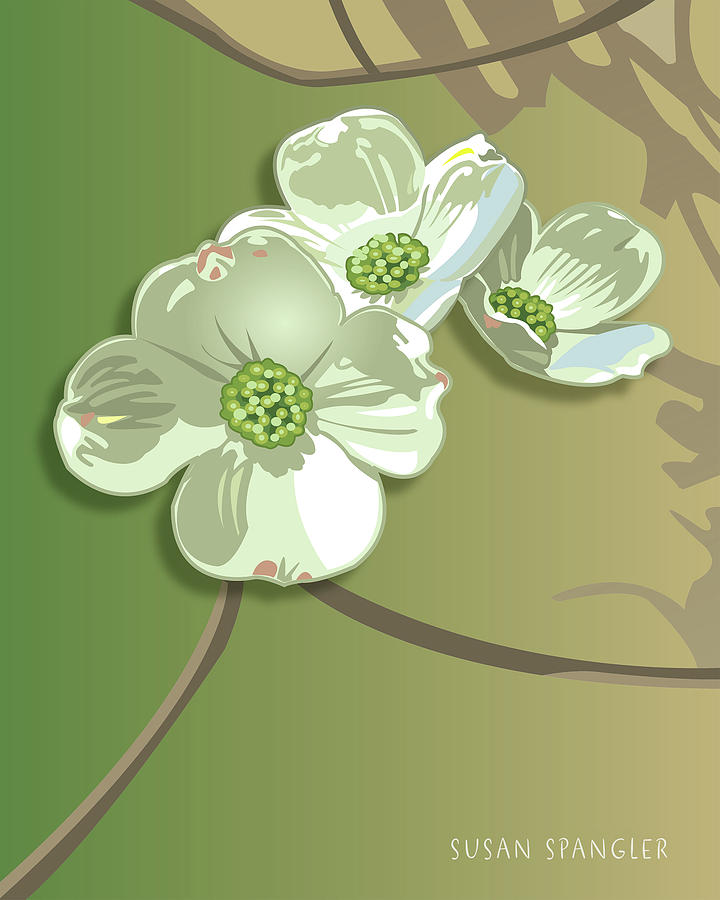 Dogwood Blossoms by Susan Spangler Dogwood Blossoms by Susan Spangler