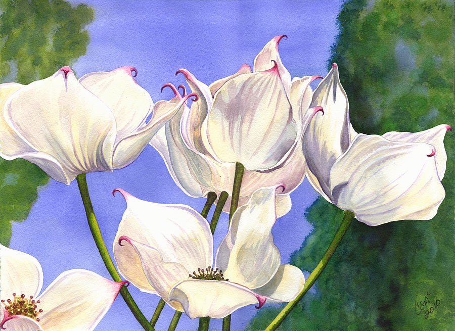 Dogwood Painting by Catherine G McElroy