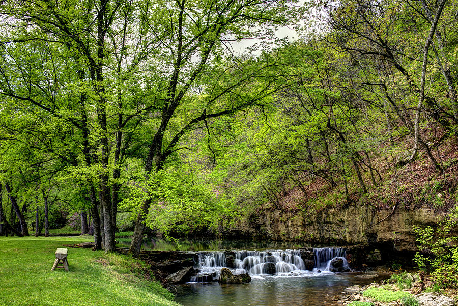 Dogwood Creek in Springtime Photograph by Jean Hutchison