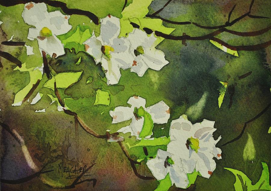 Dogwoods In Bloom Painting