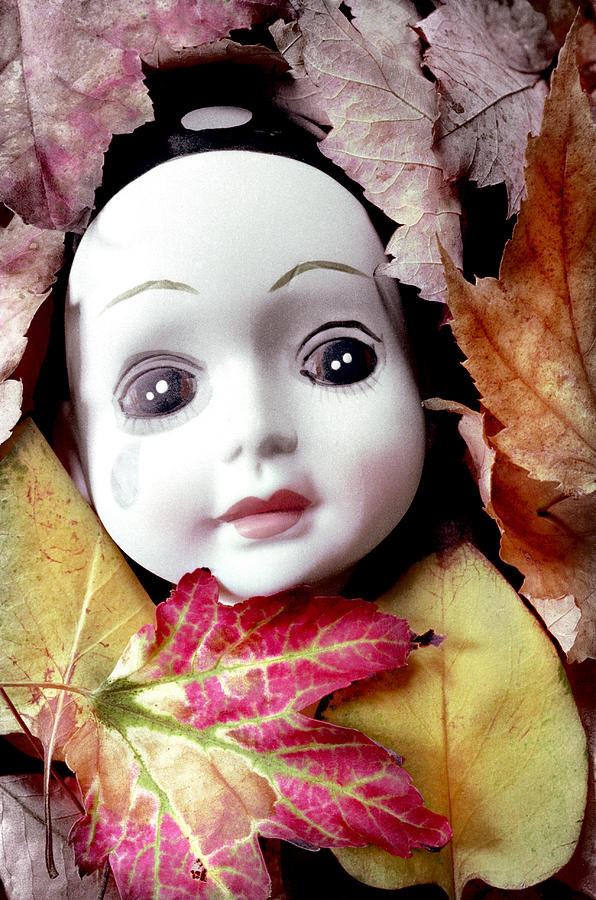 Fall Photograph - Doll by Andrew Giovinazzo