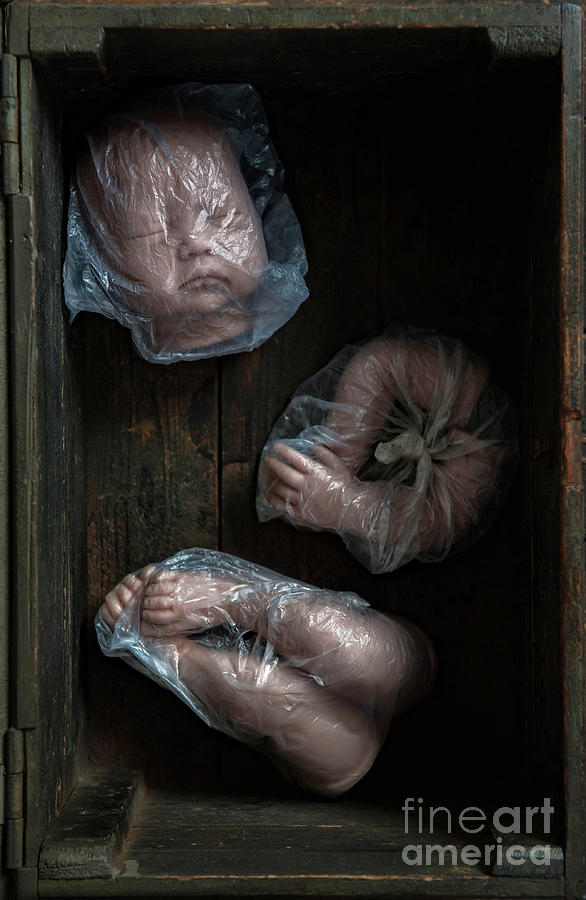Doll Parts In Plastic Bags Photograph by Lee Avison