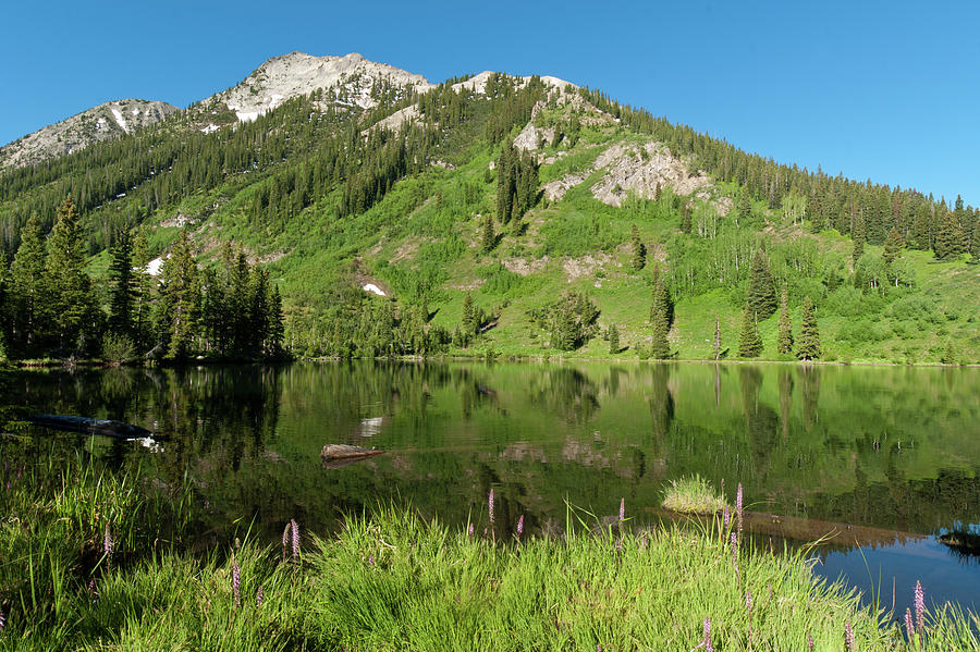 Dollar Lake Summer Landscape Photograph by Cascade Colors - Fine Art ...