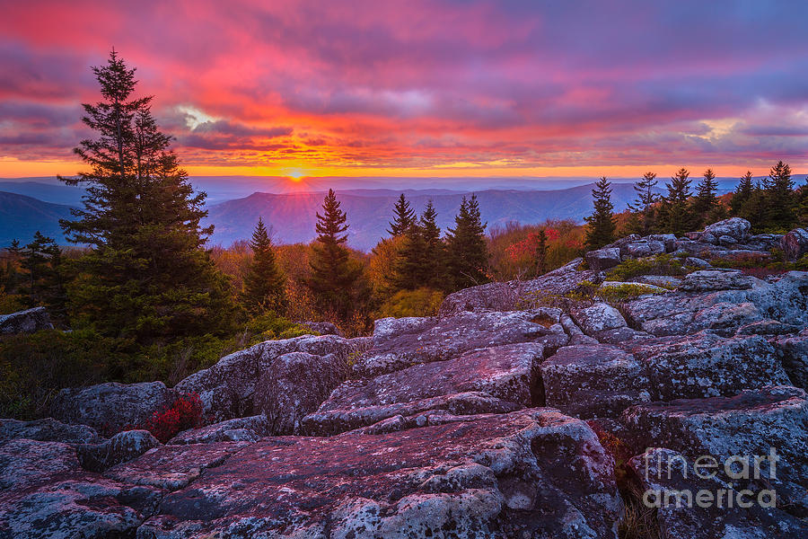 Dolly Sods D80001229 Photograph by Kevin Funk - Fine Art America