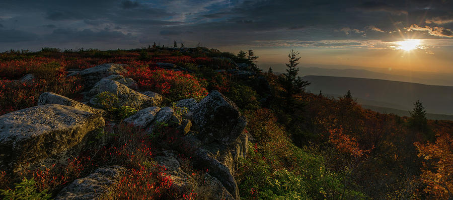 Dolly Sods Sunrise Pano -1 Photograph by Jason Funk