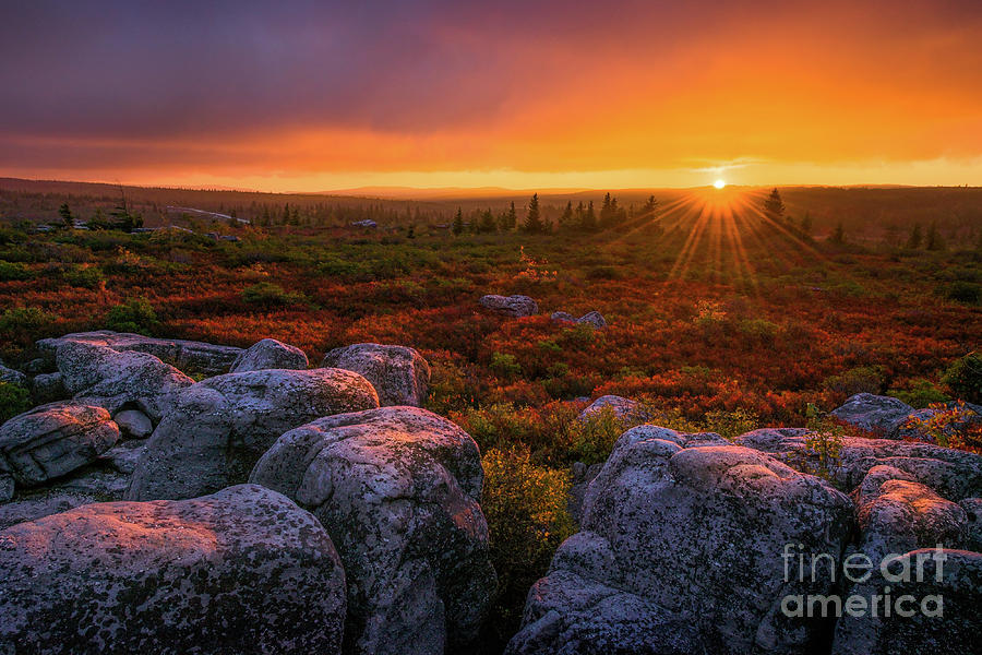 Dolly Sods Sunset Photograph