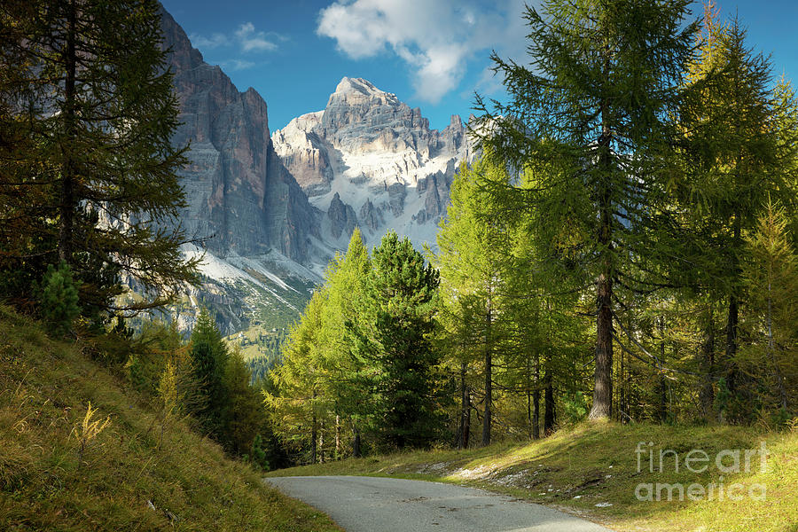 Dolomite Pathway Photograph by Brian Jannsen