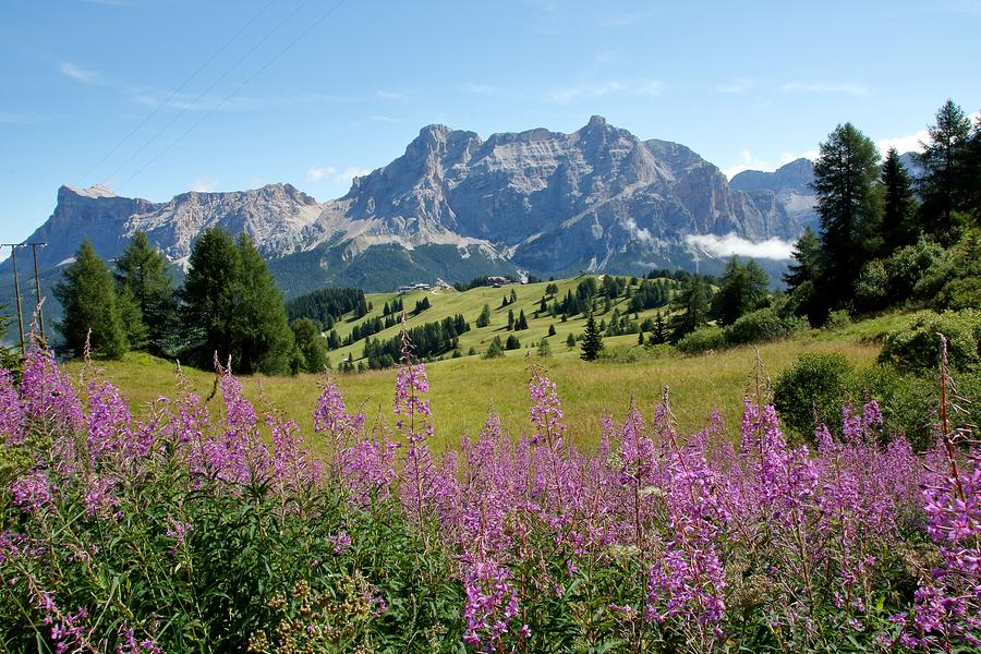 Flower Photograph - Dolomites landscape by Laura Di Biase