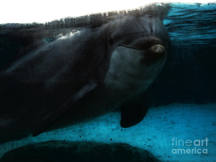 Dolphin Blue Photograph by Linda Shafer