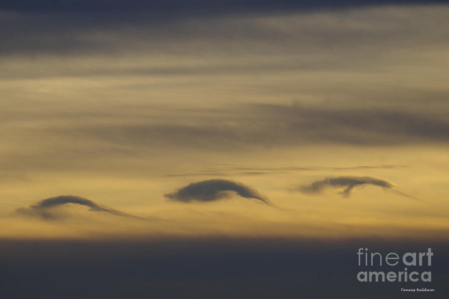 Dolphin clouds Photograph by Tannis Baldwin