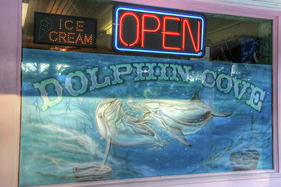 Dolphin Cove Window Photograph by Donna Kennedy