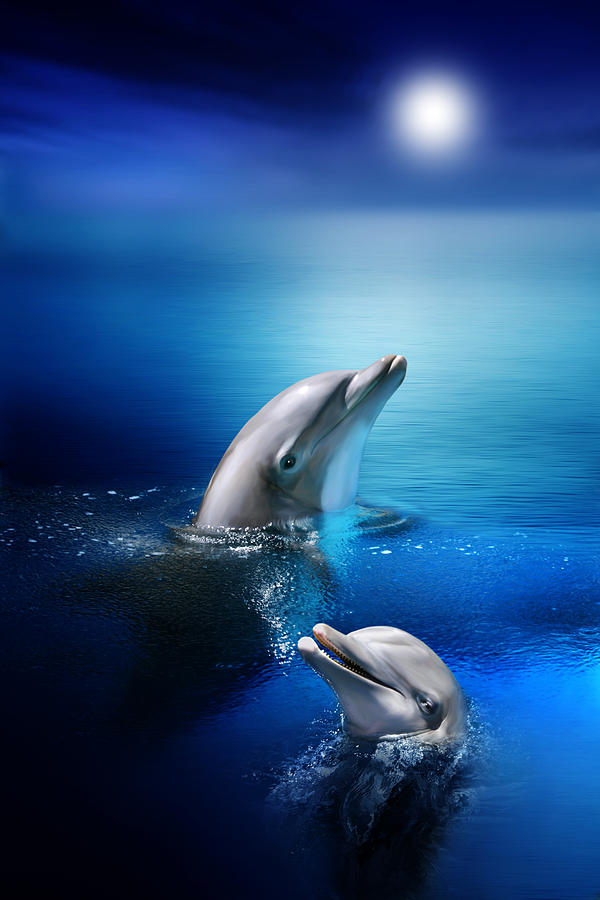 Dolphin Digital Art - Dolphin Delight by Julie L Hoddinott