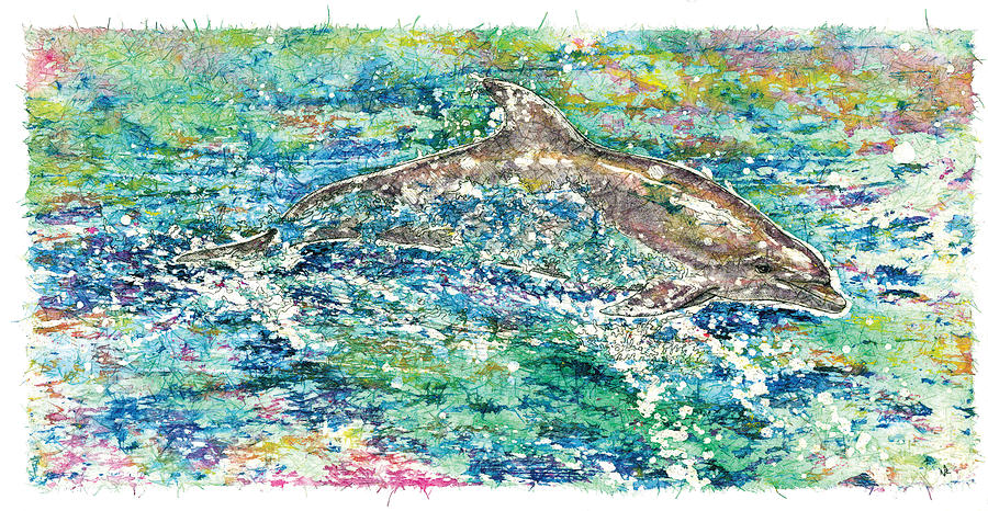 Porpoise Painting - Dolphin Frolic by Nick Cantrell Porpoise Painting - Dolphin Frolic by Nick Cantrell