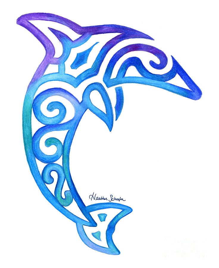 Dolphin Drawing by Heather Schaefer
