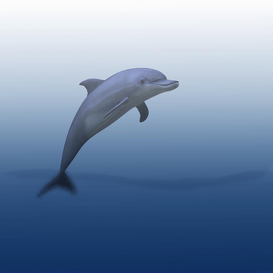 Dolphin In Ocean Blue Digital Art by Movie Poster Prints